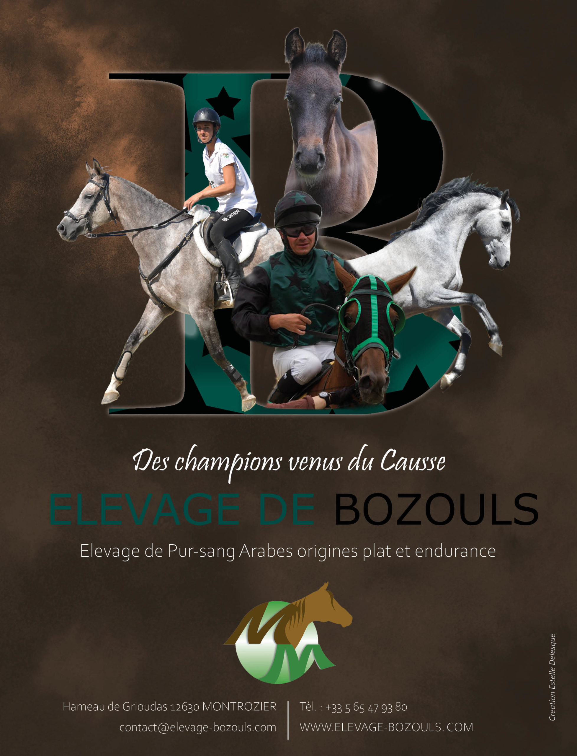 Elevage de Bozouls