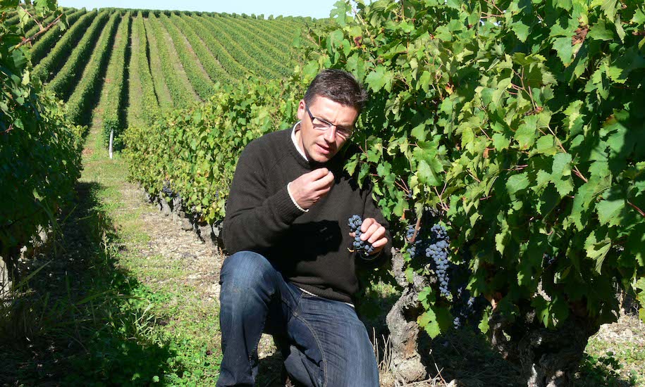 Domaine Guy Allion