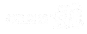 Image module