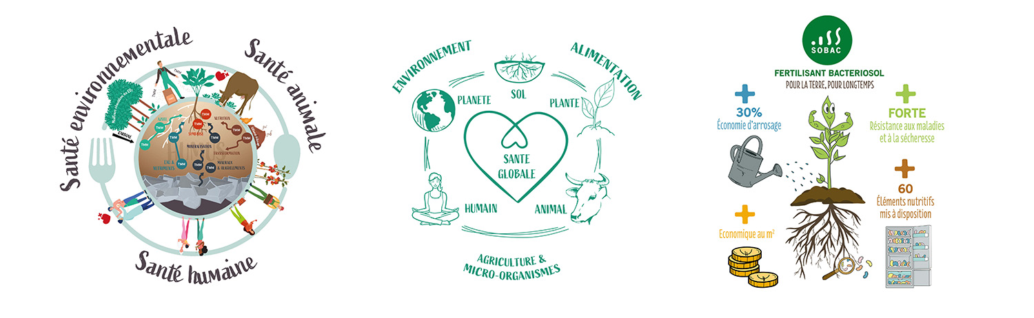 montage schemas 2 bd